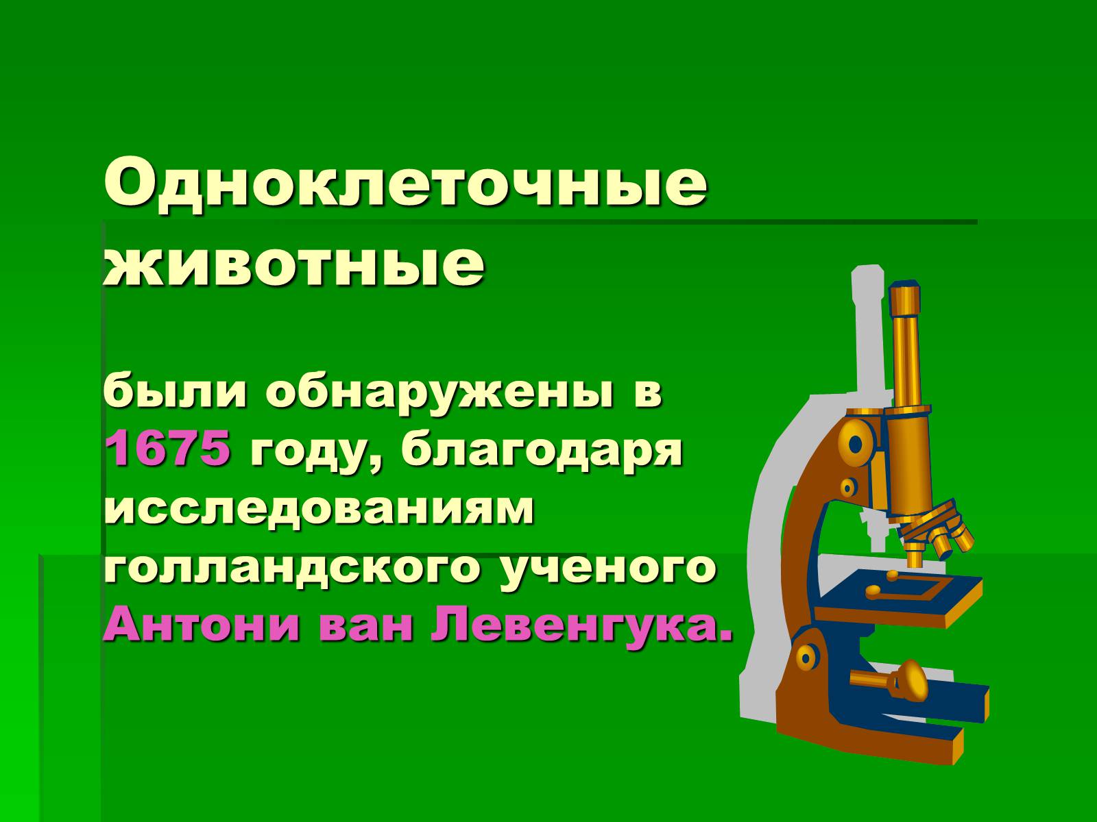 Презентація на тему «Подцарство Одноклеточные или Простейшие» - Слайд #3 Презентація на тему «Подцарство Одноклеточные или Простейшие» - Слайд #3