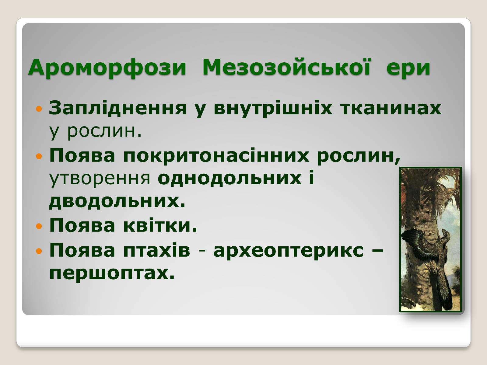 Презентація на тему «Основні ароморфози в еволюції» - Слайд #12 Презентація на тему «Основні ароморфози в еволюції» - Слайд #12