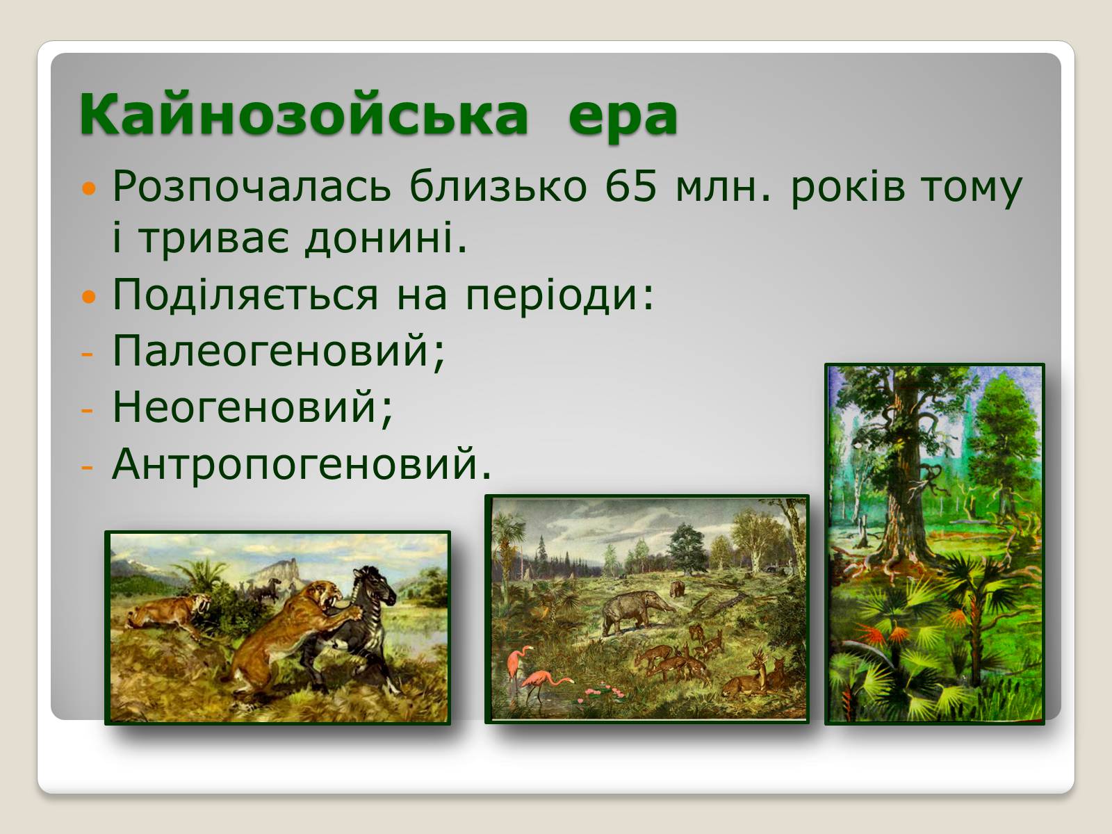 Презентація на тему «Основні ароморфози в еволюції» - Слайд #14 Презентація на тему «Основні ароморфози в еволюції» - Слайд #14