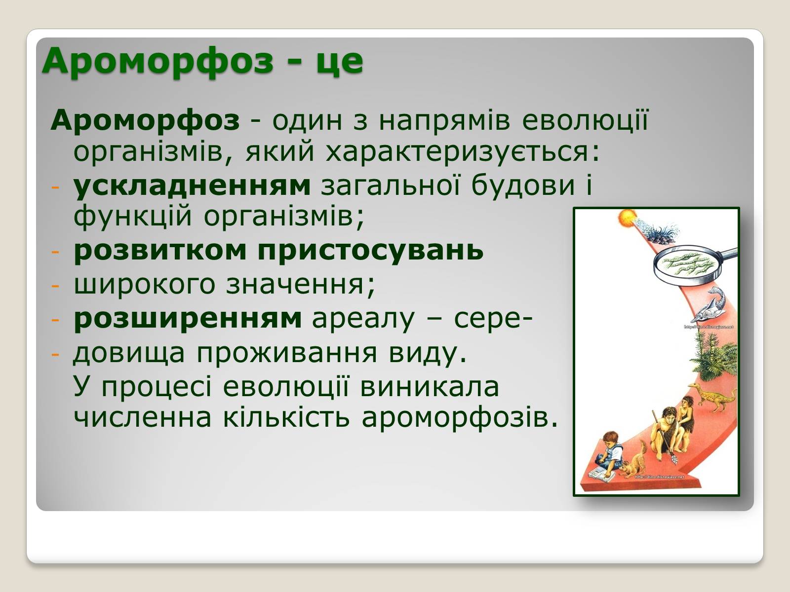 Презентація на тему «Основні ароморфози в еволюції» - Слайд #2 Презентація на тему «Основні ароморфози в еволюції» - Слайд #2