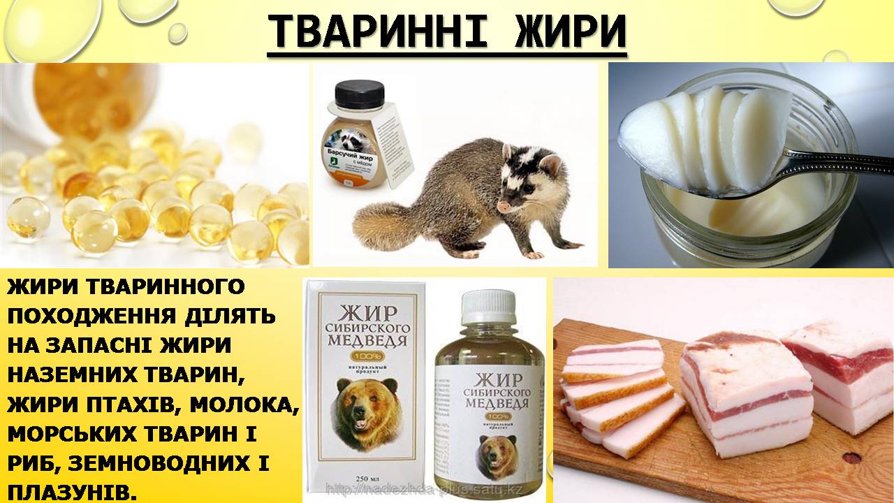 Презентація на тему «Жири» (варіант 26) - Слайд #7 Презентація на тему «Жири» (варіант 26) - Слайд #7