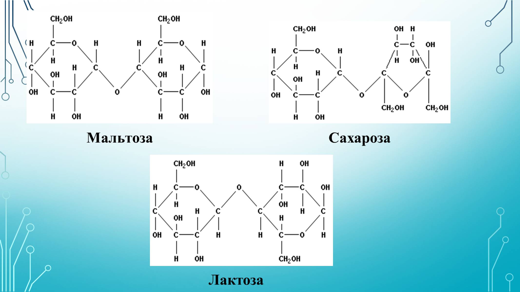 Презентація на тему «Вуглеводи як компоненти їжі, їх роль у житті людини» (варіант 29) - Слайд #10 Презентація на тему «Вуглеводи як компоненти їжі, їх роль у житті людини» (варіант 29) - Слайд #10