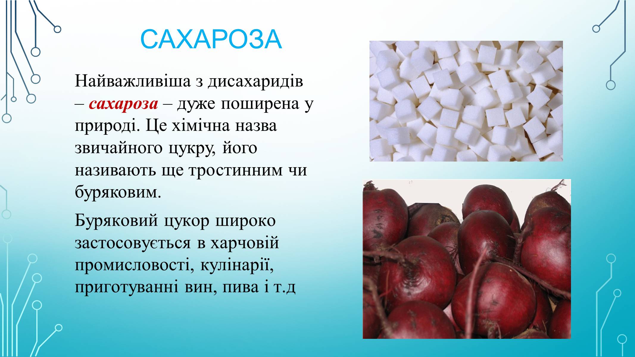 Презентація на тему «Вуглеводи як компоненти їжі, їх роль у житті людини» (варіант 29) - Слайд #11 Презентація на тему «Вуглеводи як компоненти їжі, їх роль у житті людини» (варіант 29) - Слайд #11