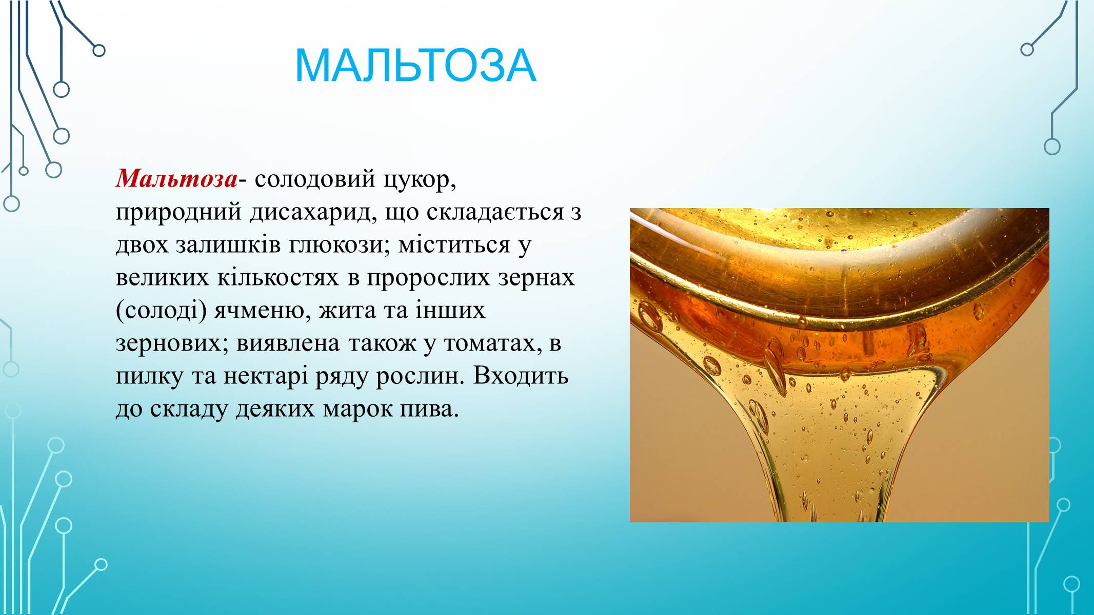 Презентація на тему «Вуглеводи як компоненти їжі, їх роль у житті людини» (варіант 29) - Слайд #14 Презентація на тему «Вуглеводи як компоненти їжі, їх роль у житті людини» (варіант 29) - Слайд #14