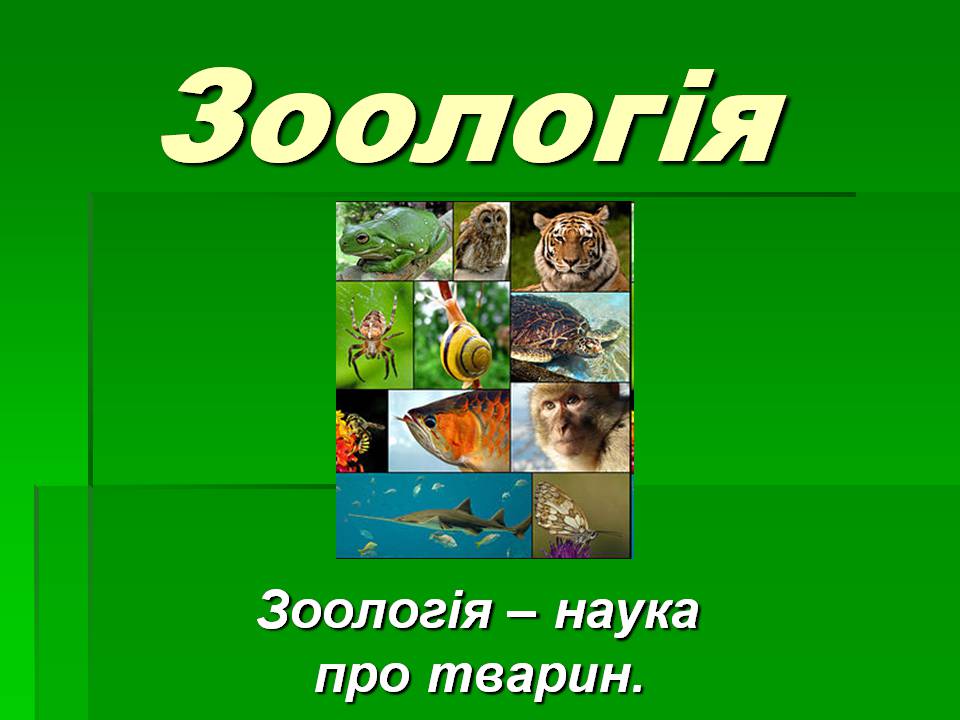 Презентація на тему «Зоологія» - Слайд #1 Презентація на тему «Зоологія» - Слайд #1