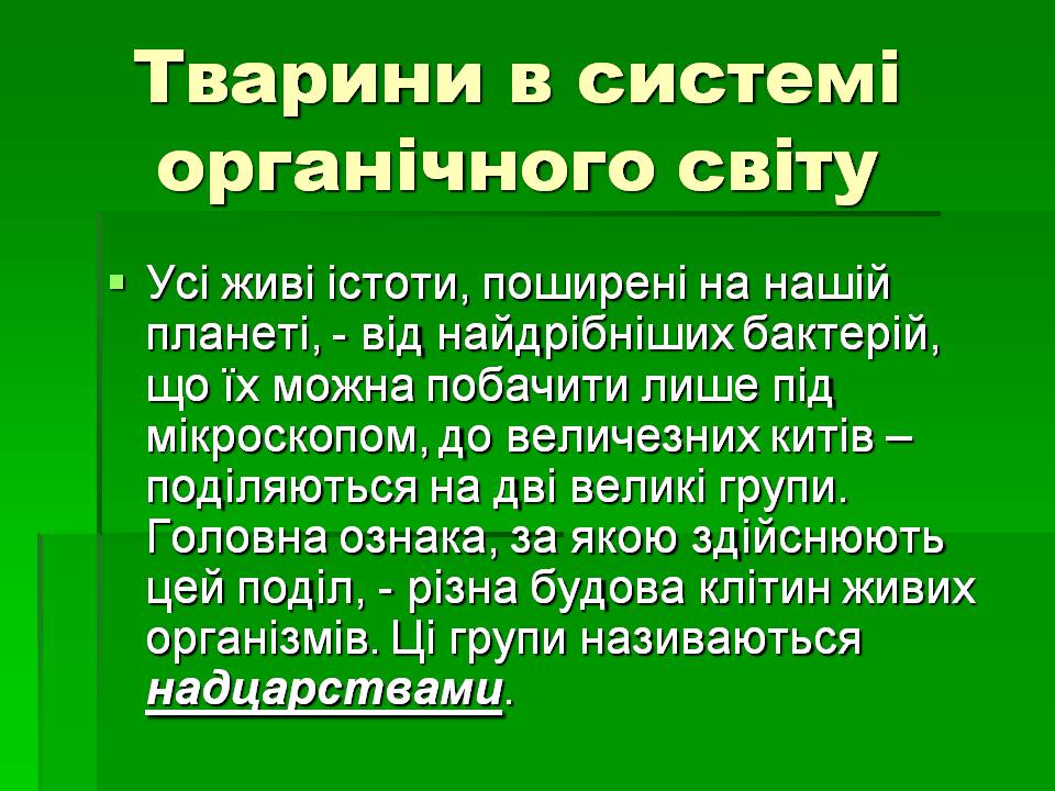 Презентація на тему «Зоологія» - Слайд #11 Презентація на тему «Зоологія» - Слайд #11