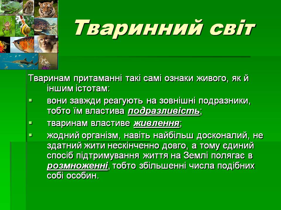 Презентація на тему «Зоологія» - Слайд #8 Презентація на тему «Зоологія» - Слайд #8
