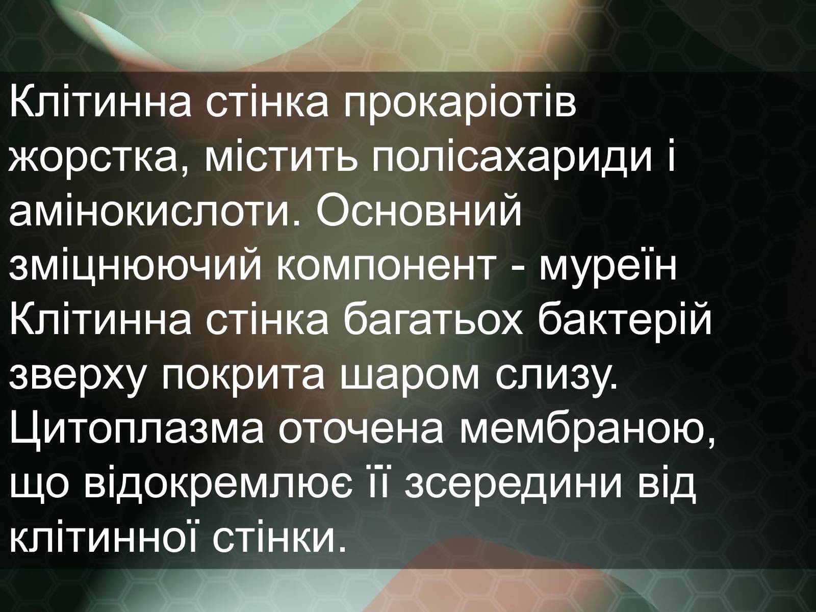 Презентація на тему «Прокаріотична клітина» - Слайд #11 Презентація на тему «Прокаріотична клітина» - Слайд #11