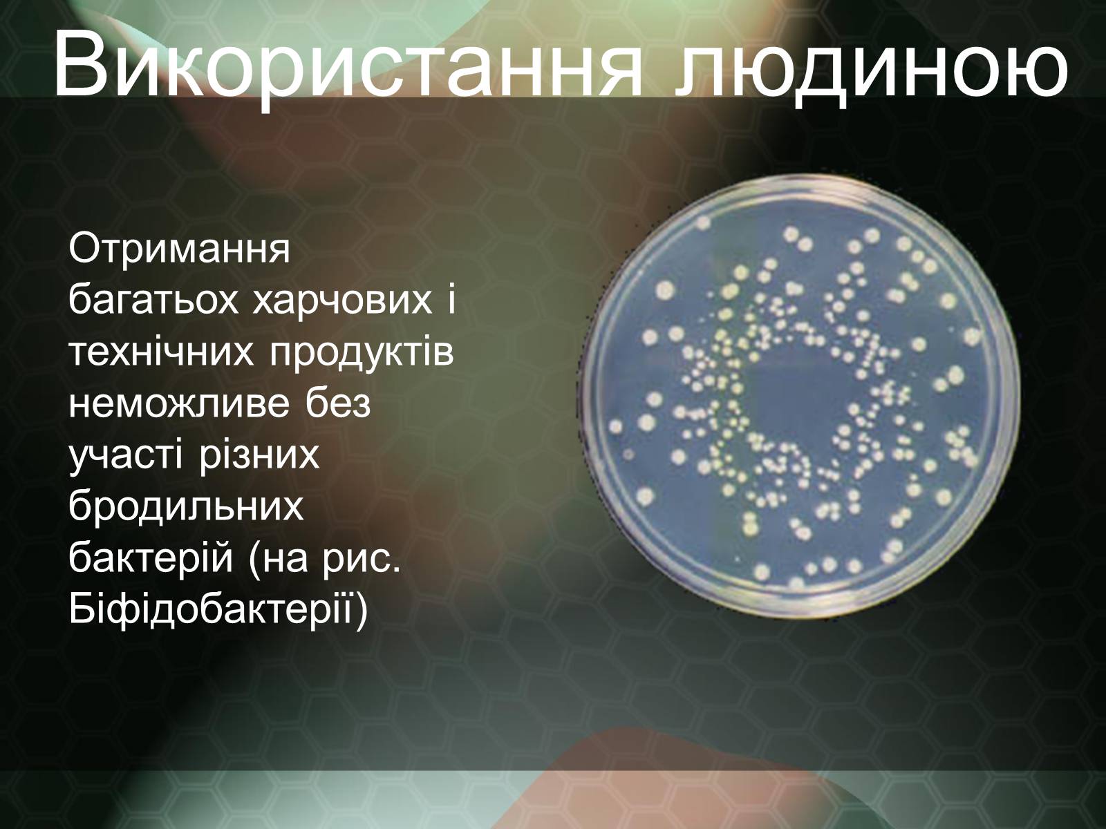 Презентація на тему «Прокаріотична клітина» - Слайд #18 Презентація на тему «Прокаріотична клітина» - Слайд #18