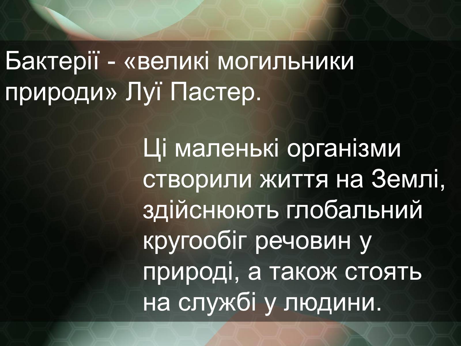 Презентація на тему «Прокаріотична клітина» - Слайд #2 Презентація на тему «Прокаріотична клітина» - Слайд #2