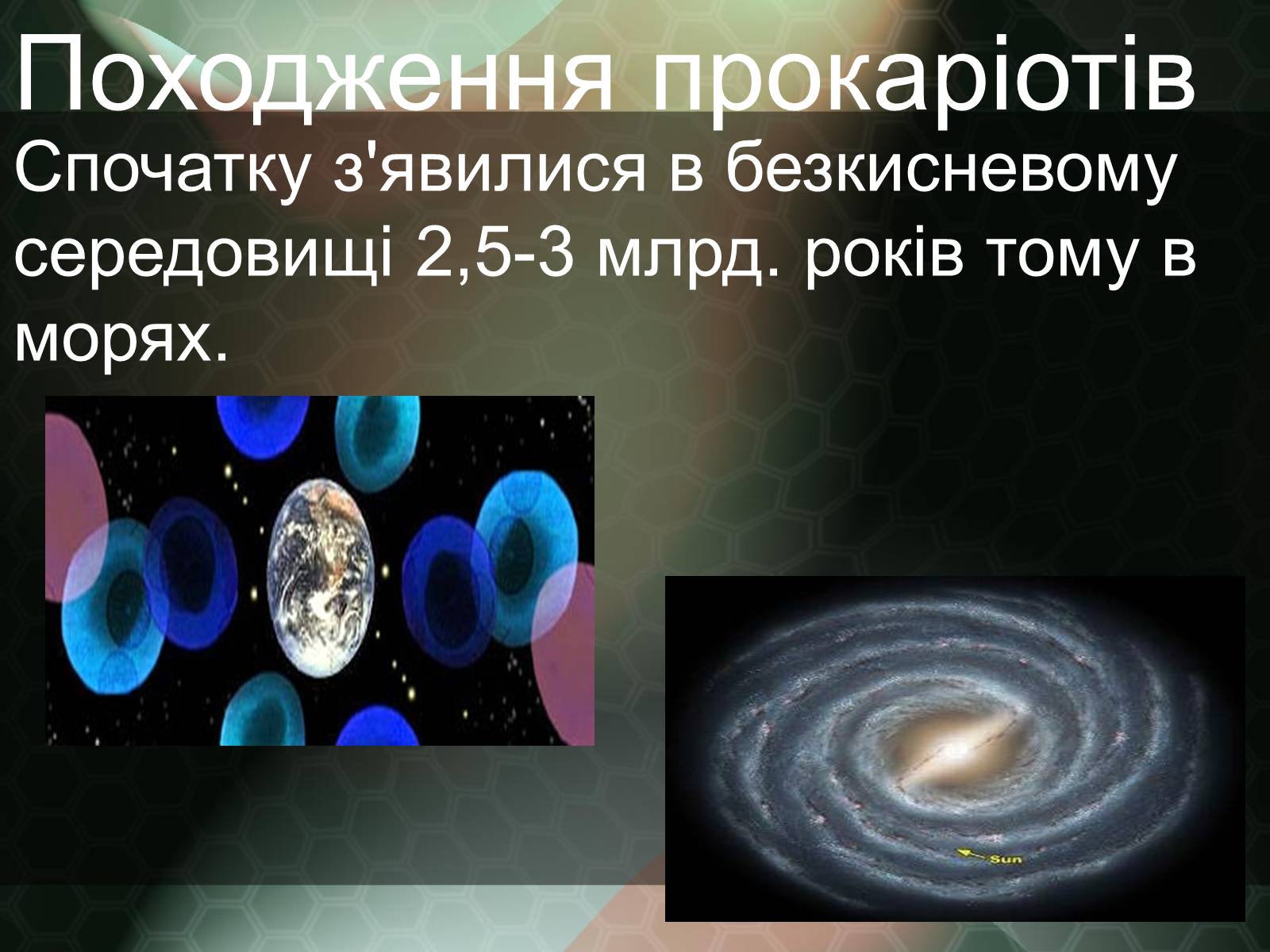 Презентація на тему «Прокаріотична клітина» - Слайд #3 Презентація на тему «Прокаріотична клітина» - Слайд #3