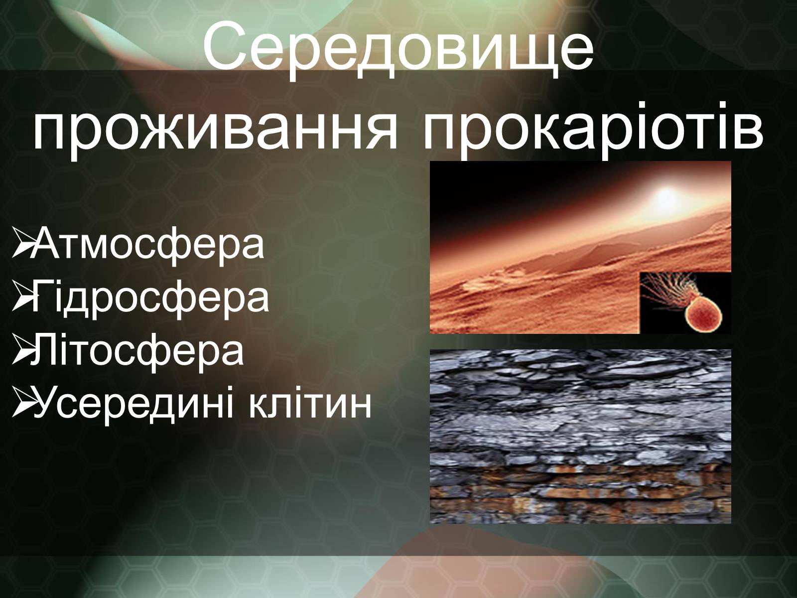 Презентація на тему «Прокаріотична клітина» - Слайд #4 Презентація на тему «Прокаріотична клітина» - Слайд #4