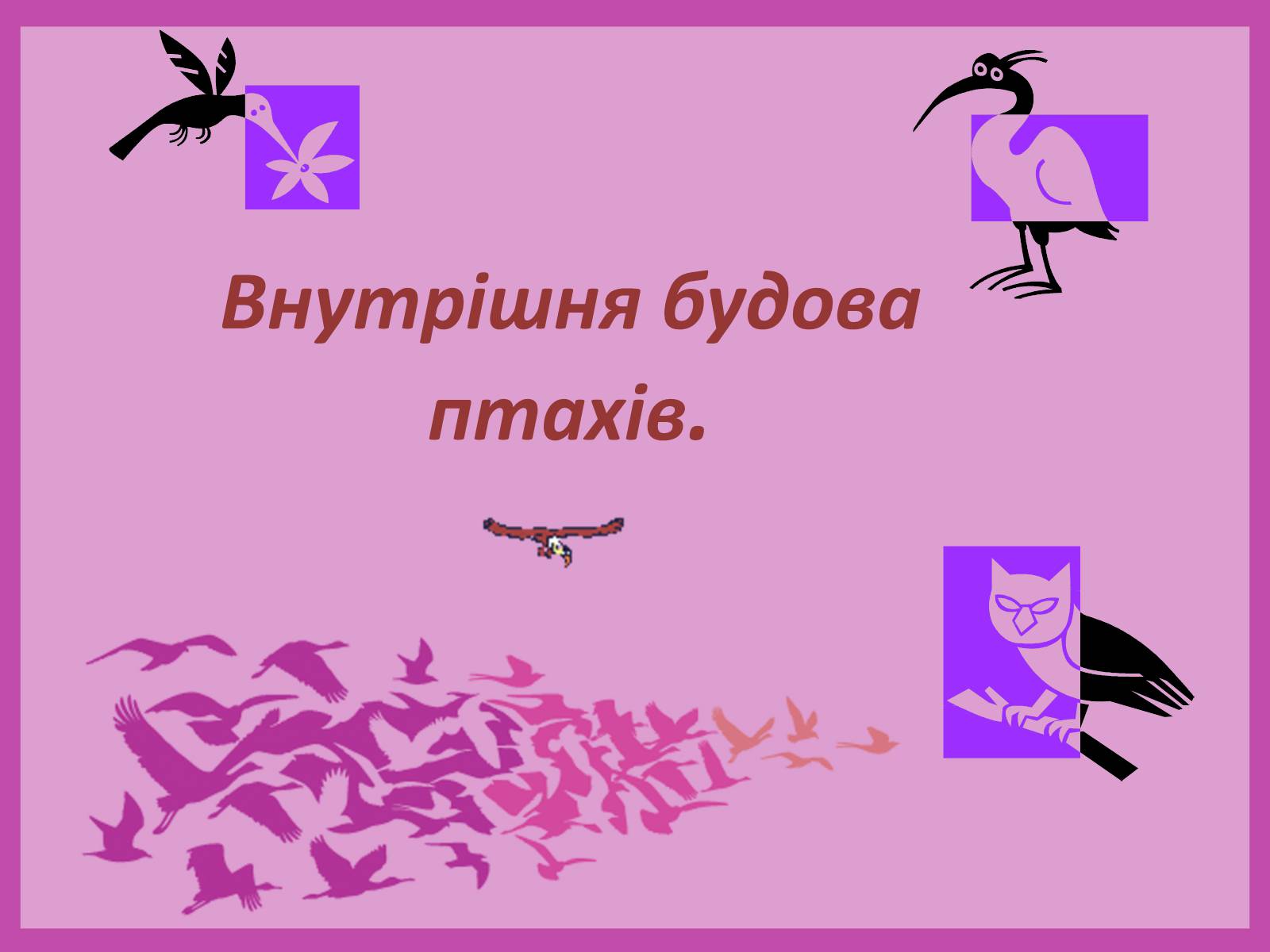 Презентація на тему «Внутрішня будова птахів» (варіант 2) - Слайд #1 Презентація на тему «Внутрішня будова птахів» (варіант 2) - Слайд #1