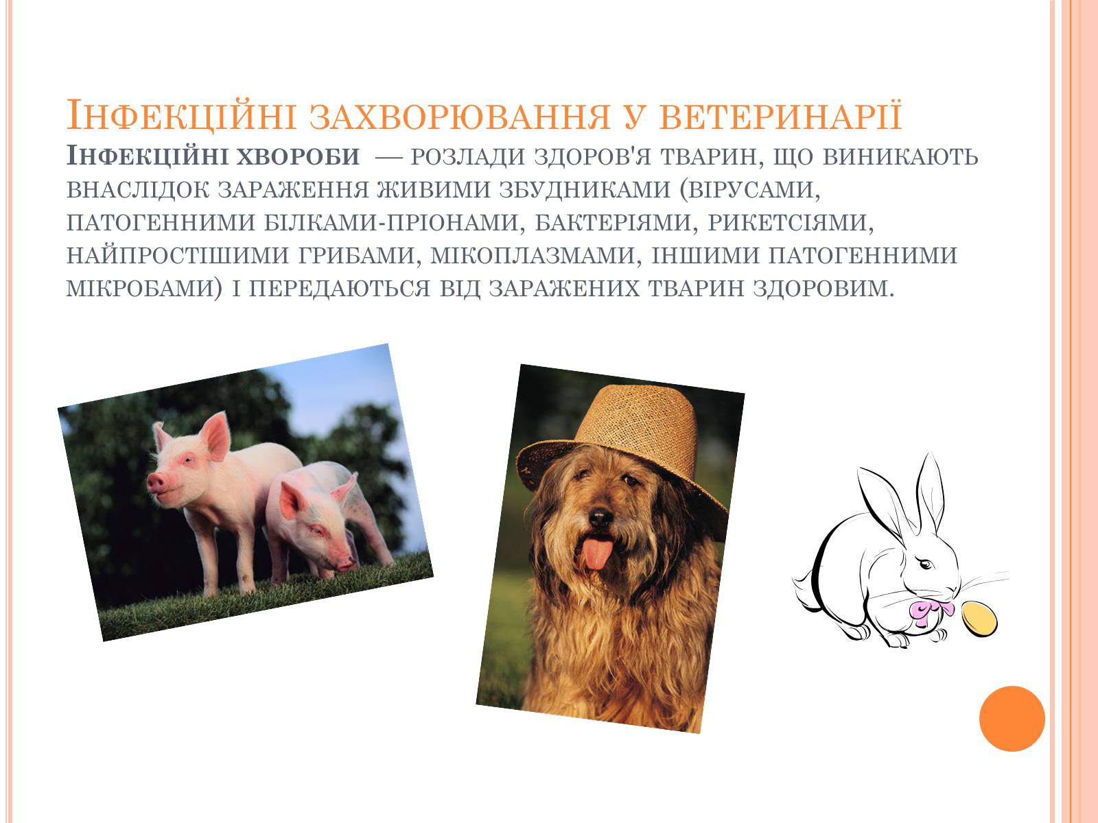 Презентація на тему «Інфекційні захворювання» (варіант 6) - Слайд #12 Презентація на тему «Інфекційні захворювання» (варіант 6) - Слайд #12
