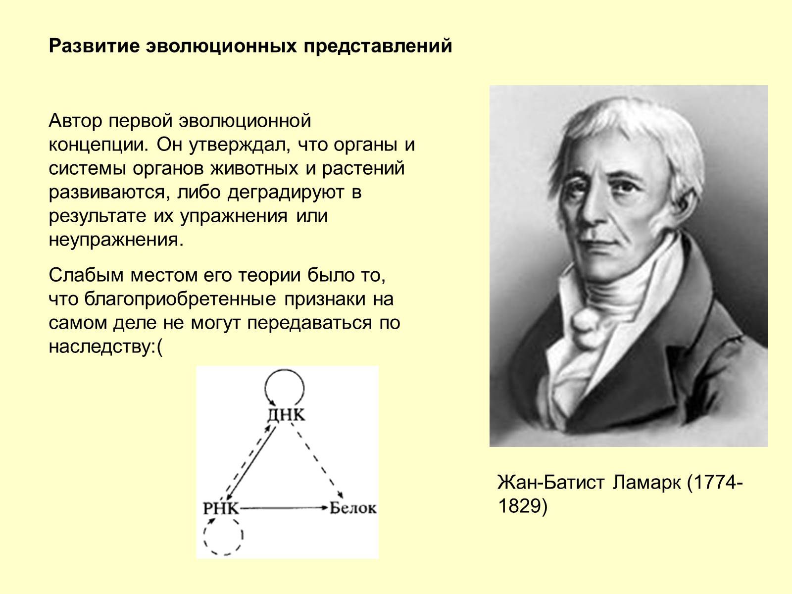 Презентація на тему «Эволюционная теория Дарвина» - Слайд #4 Презентація на тему «Эволюционная теория Дарвина» - Слайд #4