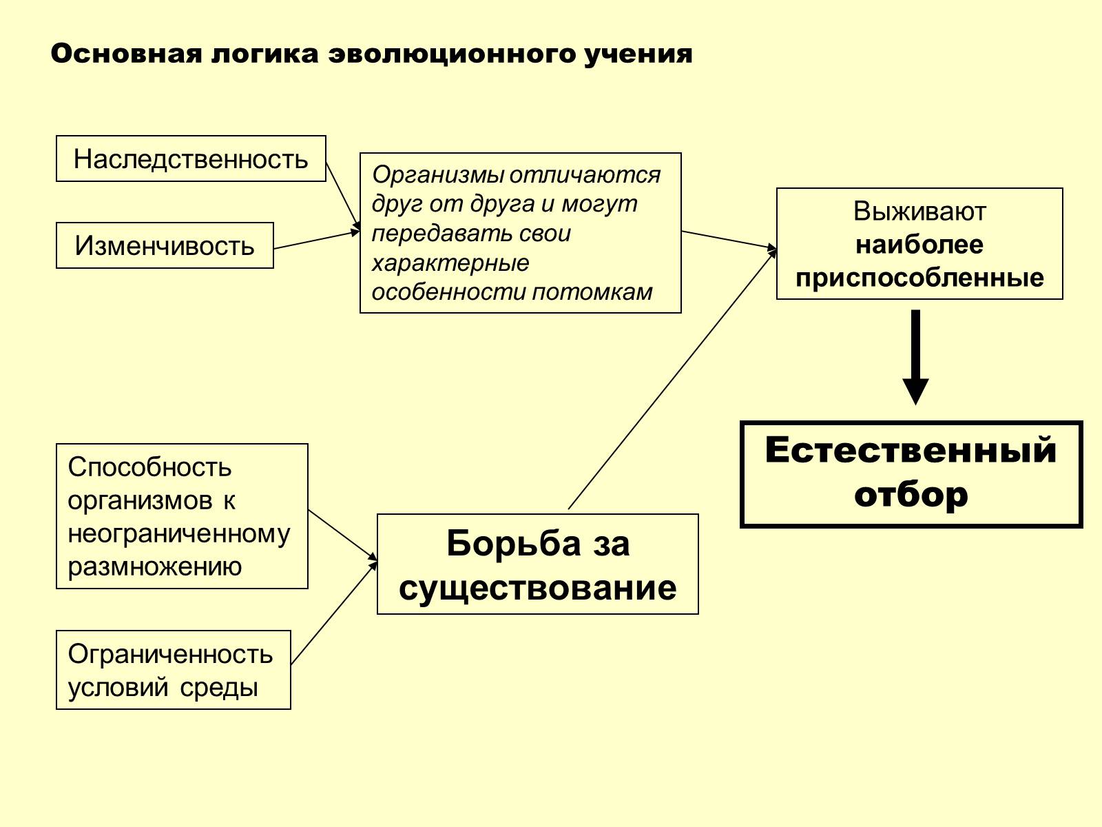 Презентація на тему «Эволюционная теория Дарвина» - Слайд #6 Презентація на тему «Эволюционная теория Дарвина» - Слайд #6