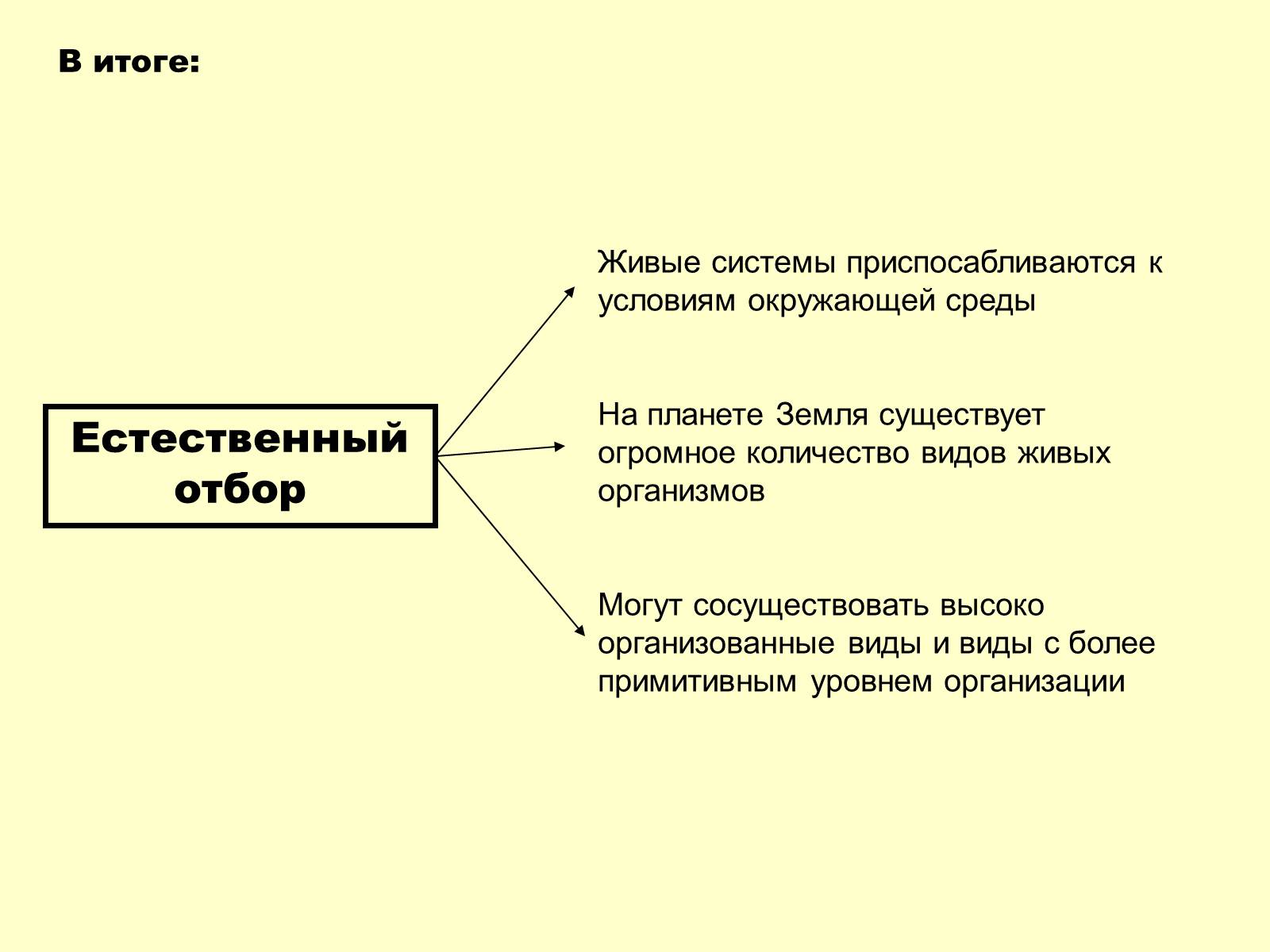 Презентація на тему «Эволюционная теория Дарвина» - Слайд #7 Презентація на тему «Эволюционная теория Дарвина» - Слайд #7