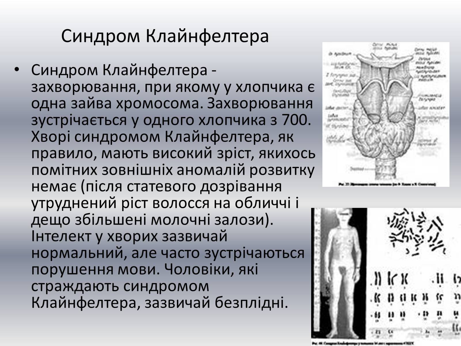 Презентація на тему «Хвороби клітини» - Слайд #12 Презентація на тему «Хвороби клітини» - Слайд #12