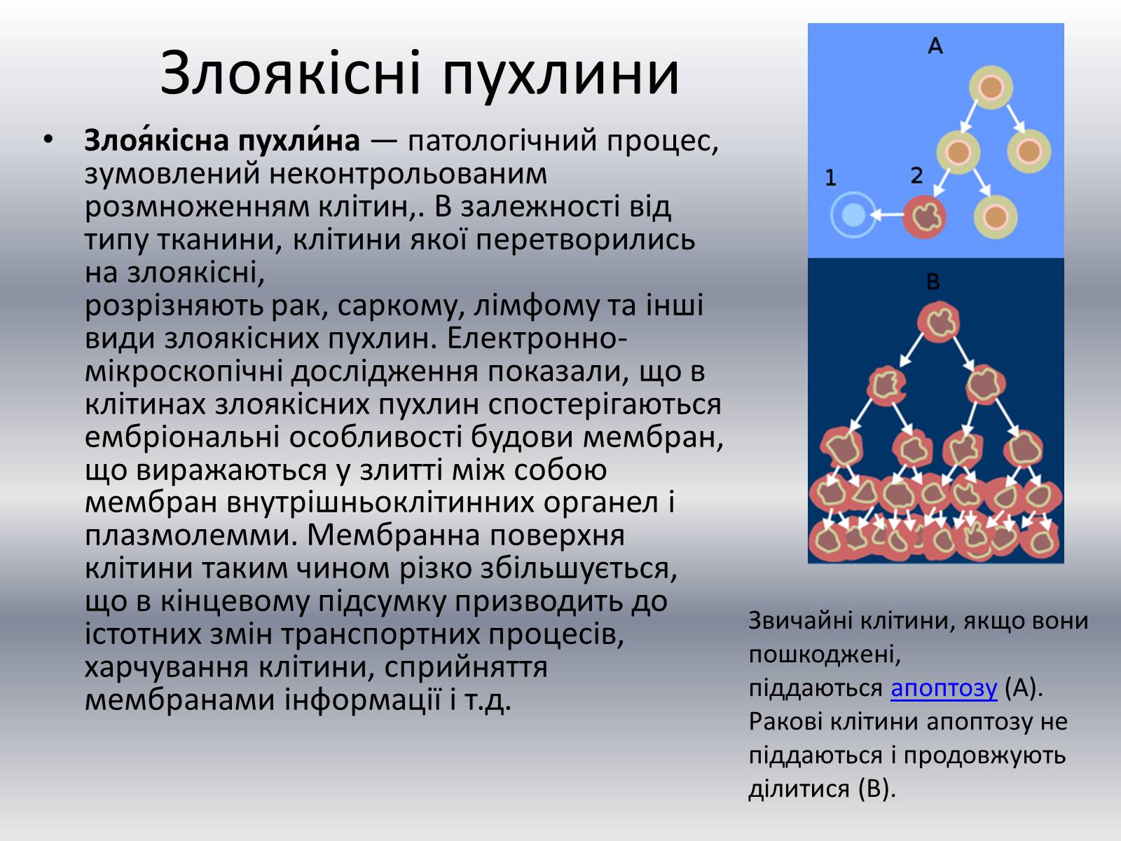 Презентація на тему «Хвороби клітини» - Слайд #4 Презентація на тему «Хвороби клітини» - Слайд #4