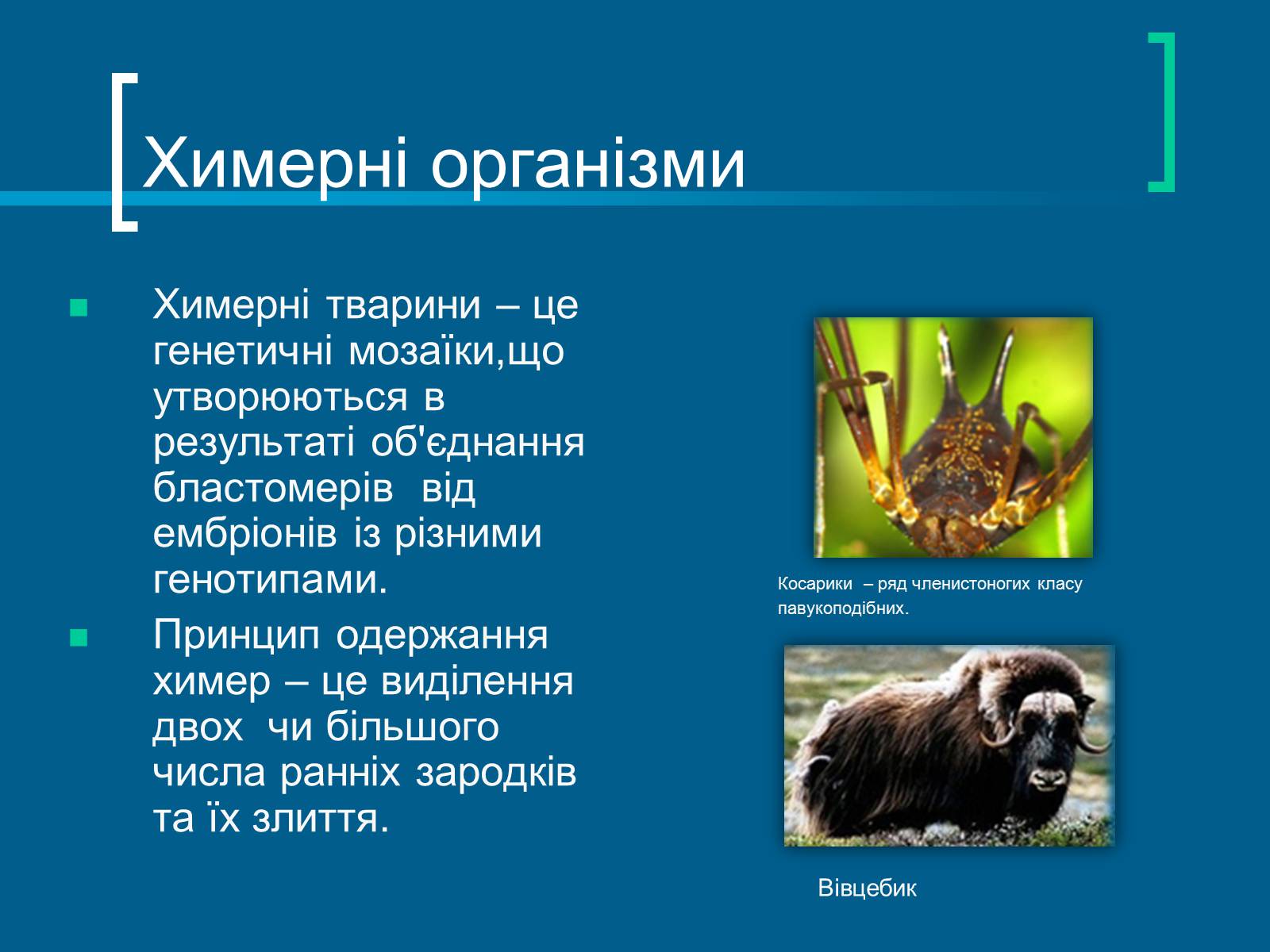 Презентація на тему «Трансгенні організми» (варіант 7) - Слайд #18 Презентація на тему «Трансгенні організми» (варіант 7) - Слайд #18