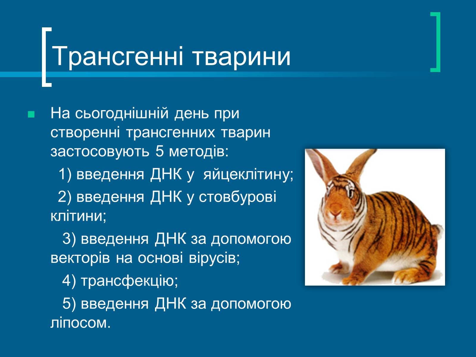 Презентація на тему «Трансгенні організми» (варіант 7) - Слайд #6 Презентація на тему «Трансгенні організми» (варіант 7) - Слайд #6