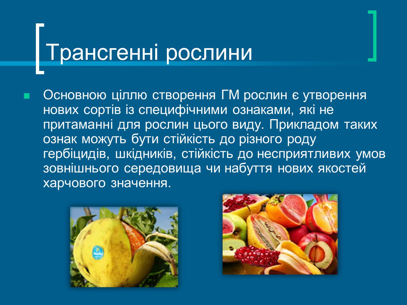 Презентація на тему «Трансгенні організми» (варіант 7) - Слайд #8 Презентація на тему «Трансгенні організми» (варіант 7) - Слайд #8