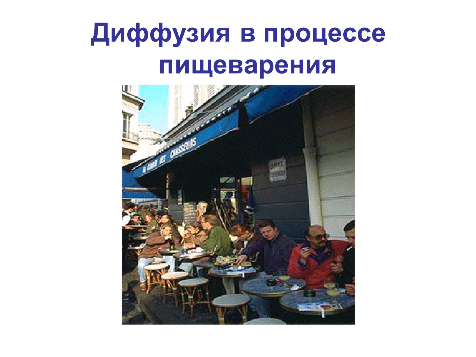 Презентація на тему «Процессы диффузии в организме человека» - Слайд #14 Презентація на тему «Процессы диффузии в организме человека» - Слайд #14