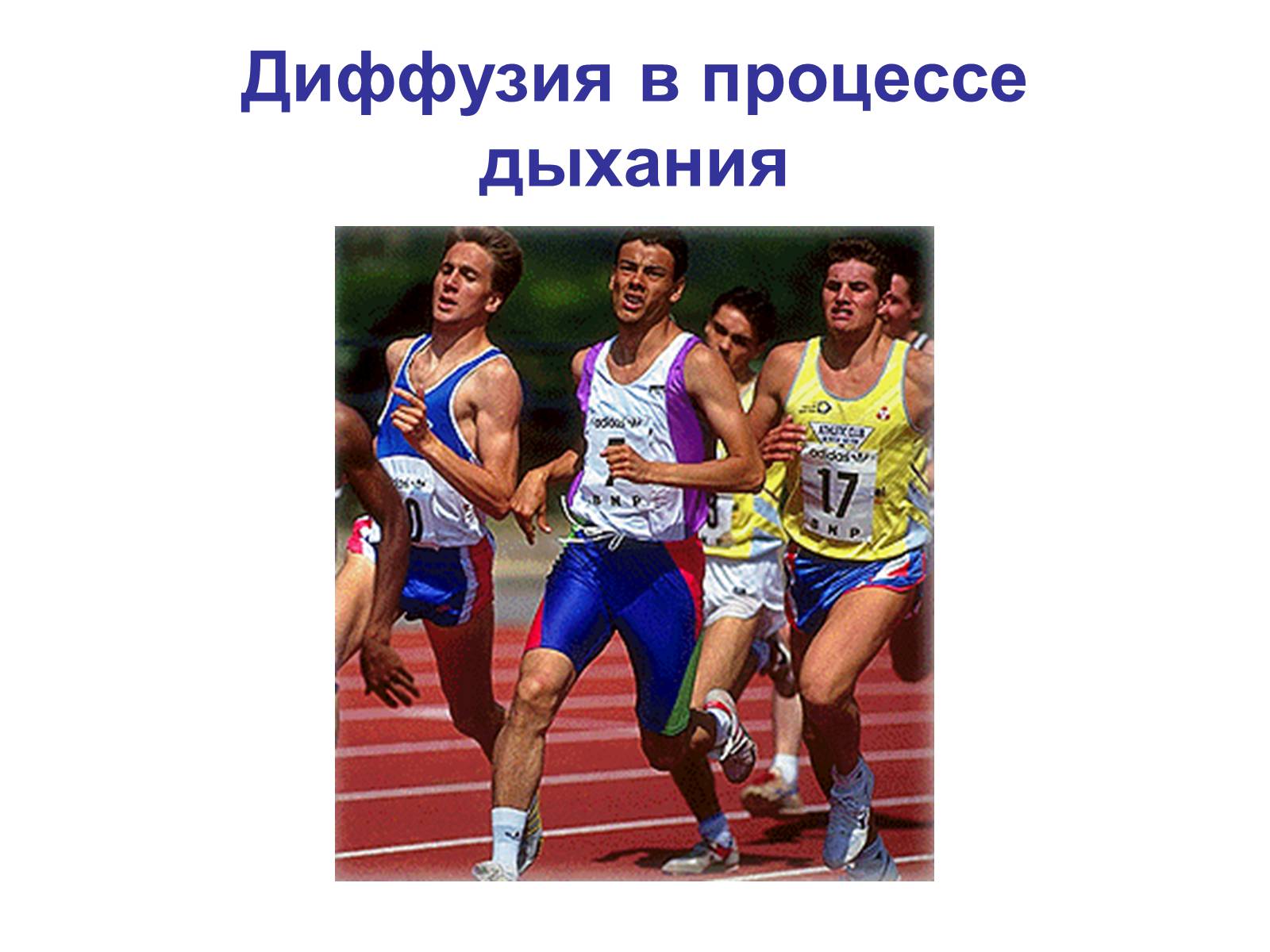 Презентація на тему «Процессы диффузии в организме человека» - Слайд #8 Презентація на тему «Процессы диффузии в организме человека» - Слайд #8