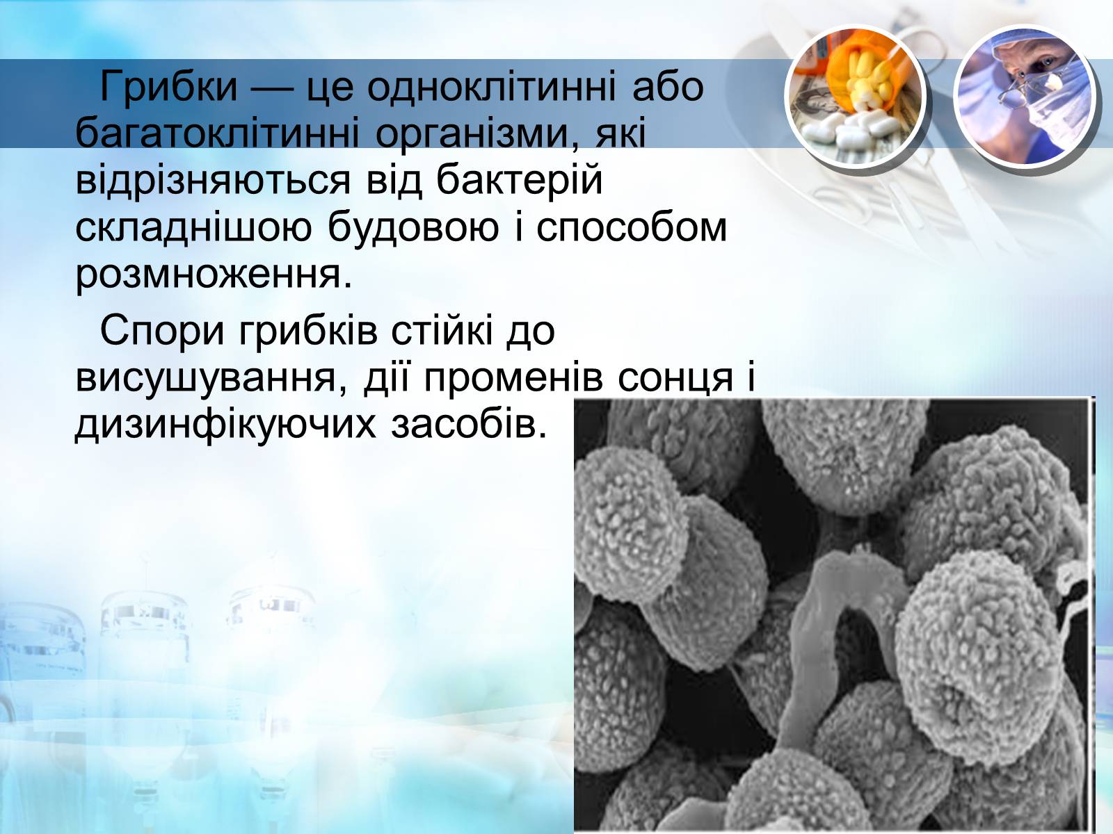Презентація на тему «Біологічна зброя» - Слайд #12 Презентація на тему «Біологічна зброя» - Слайд #12