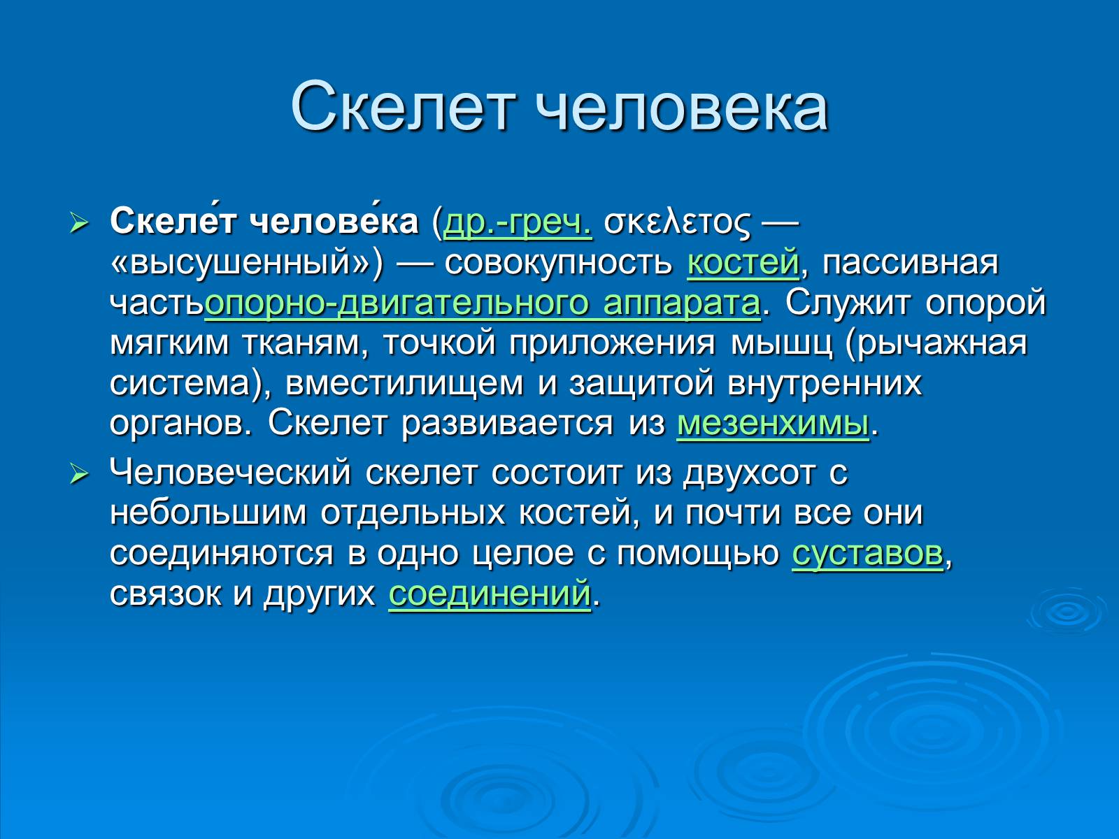 Презентація на тему «Анатомическое отличие скелетов мужчин и женщин» - Слайд #2 Презентація на тему «Анатомическое отличие скелетов мужчин и женщин» - Слайд #2