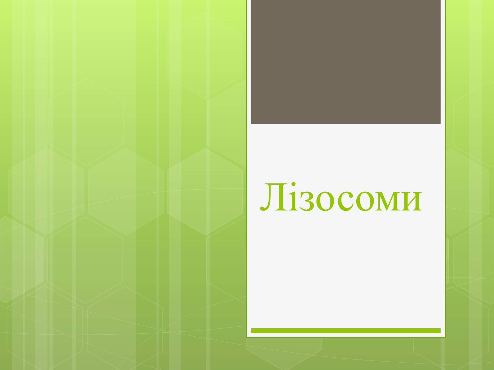 Презентація на тему «Лізосоми» (варіант 2) - Слайд #1 Презентація на тему «Лізосоми» (варіант 2) - Слайд #1