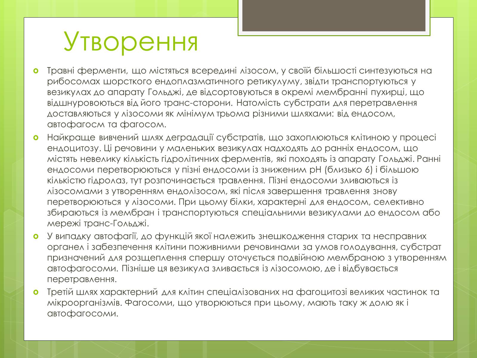 Презентація на тему «Лізосоми» (варіант 2) - Слайд #12 Презентація на тему «Лізосоми» (варіант 2) - Слайд #12