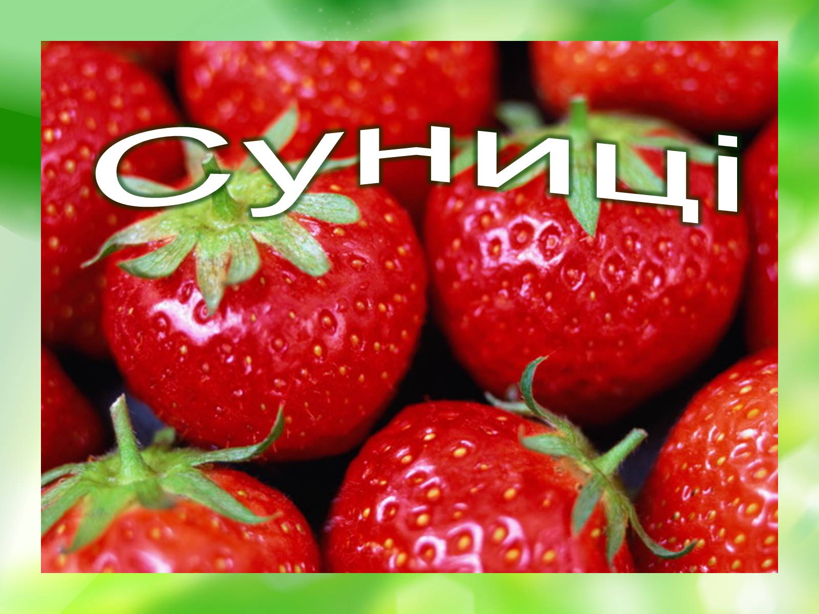Презентація на тему «Суниці» - Слайд #1 Презентація на тему «Суниці» - Слайд #1