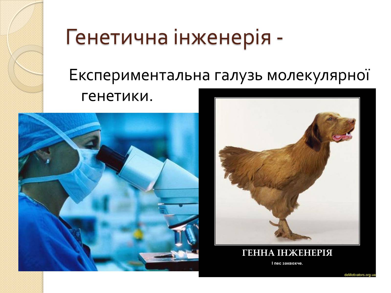 Презентація на тему «Основні закономірності функціонування генів у про – та еукаріотів» (варіант 4) - Слайд #34 Презентація на тему «Основні закономірності функціонування генів у про – та еукаріотів» (варіант 4) - Слайд #34