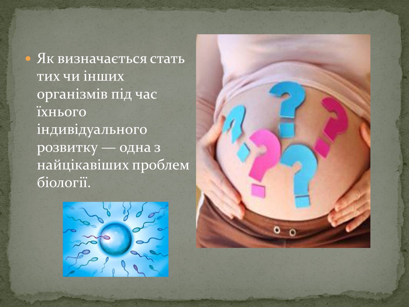 Презентація на тему «Визначення статі різних організмів» - Слайд #2 Презентація на тему «Визначення статі різних організмів» - Слайд #2