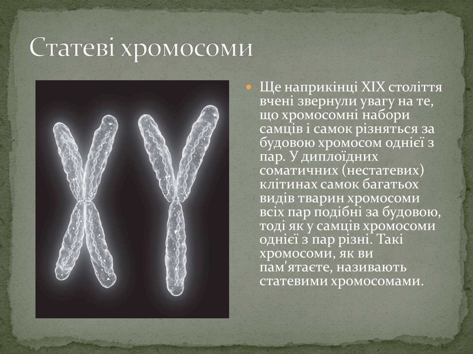 Презентація на тему «Визначення статі різних організмів» - Слайд #3 Презентація на тему «Визначення статі різних організмів» - Слайд #3