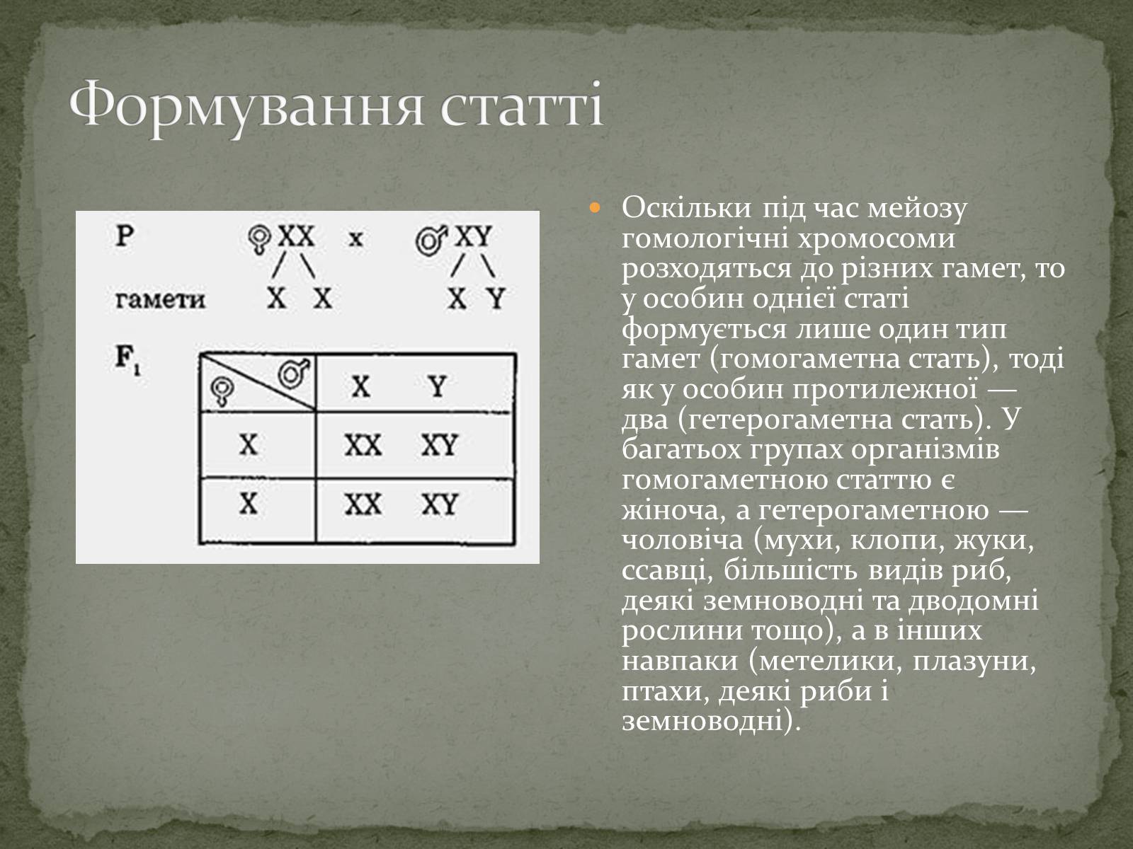 Презентація на тему «Визначення статі різних організмів» - Слайд #4 Презентація на тему «Визначення статі різних організмів» - Слайд #4