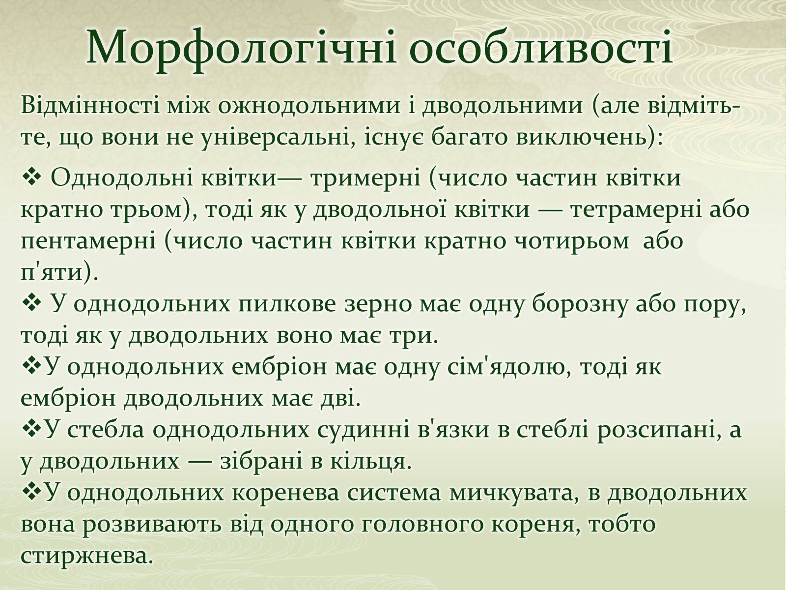 Презентація на тему «Класифікаця покирітонасінних» - Слайд #7 Презентація на тему «Класифікаця покирітонасінних» - Слайд #7