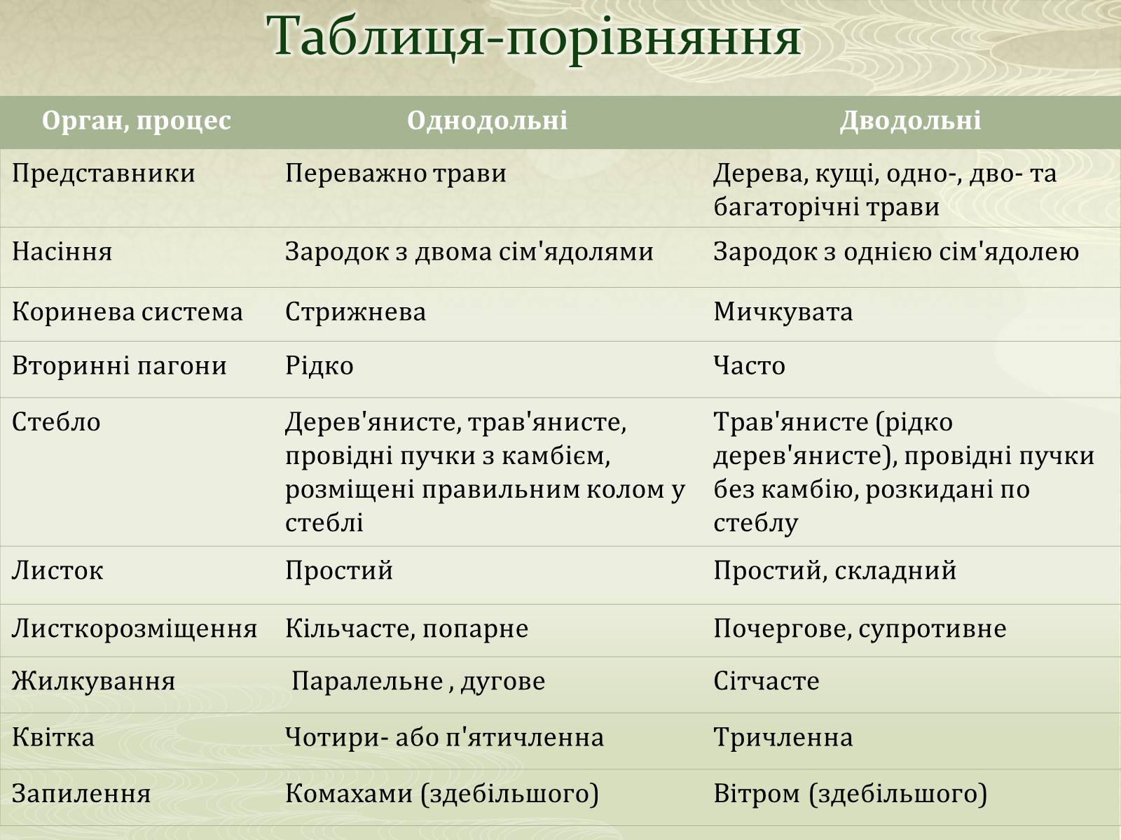 Презентація на тему «Класифікаця покирітонасінних» - Слайд #9 Презентація на тему «Класифікаця покирітонасінних» - Слайд #9