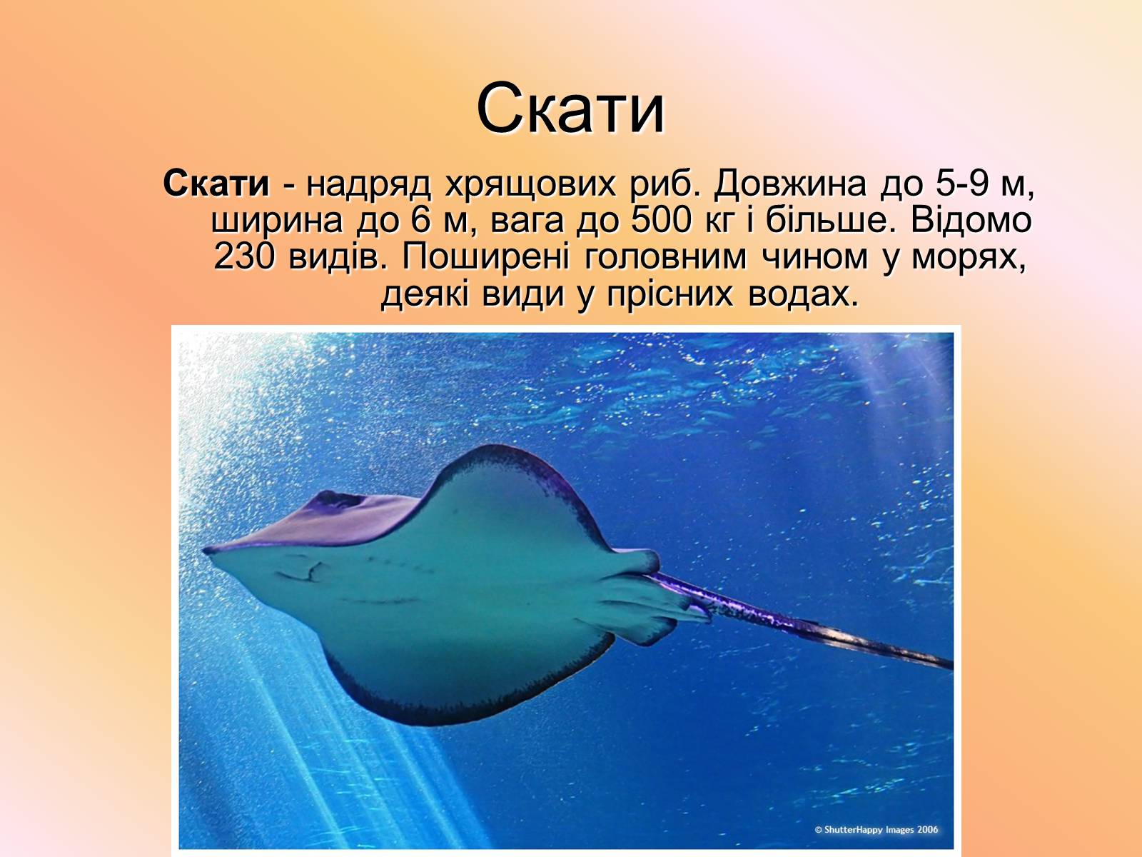 Презентація на тему «Cкати» - Слайд #2 Презентація на тему «Cкати» - Слайд #2