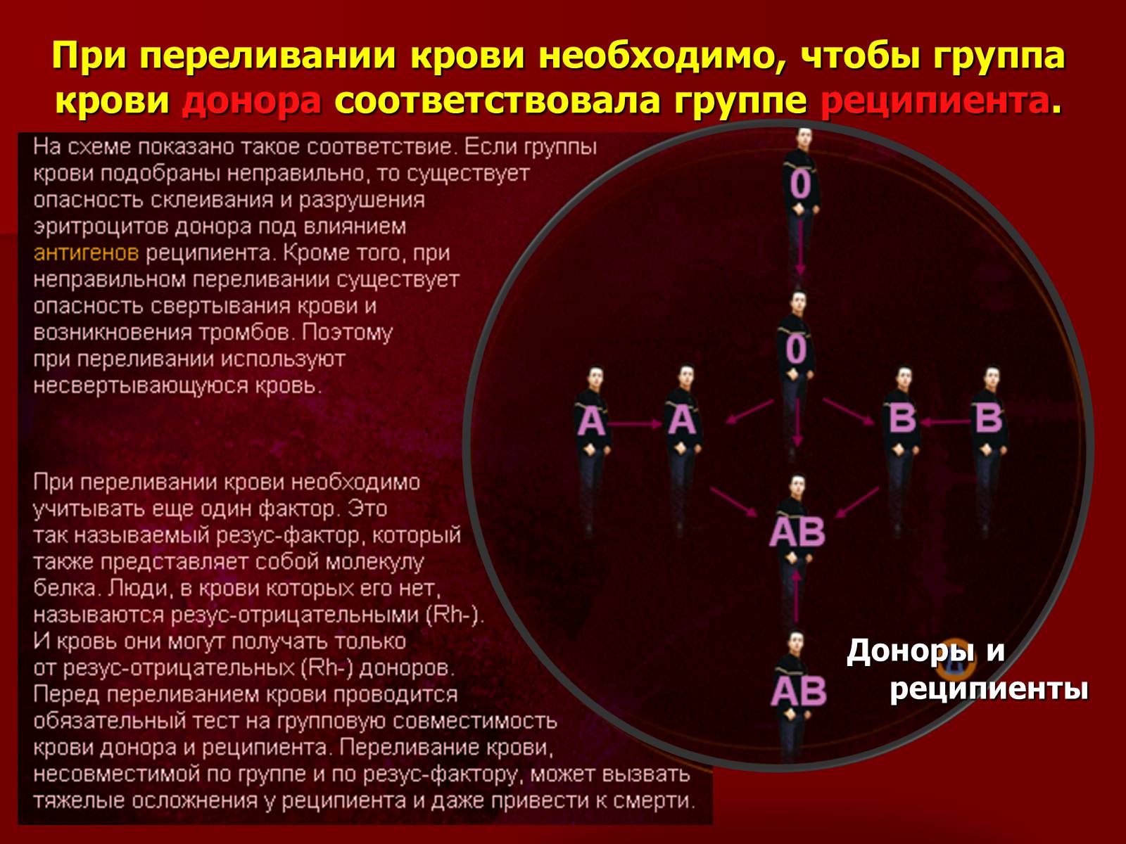 Презентація на тему «Кровь» - Слайд #15 Презентація на тему «Кровь» - Слайд #15