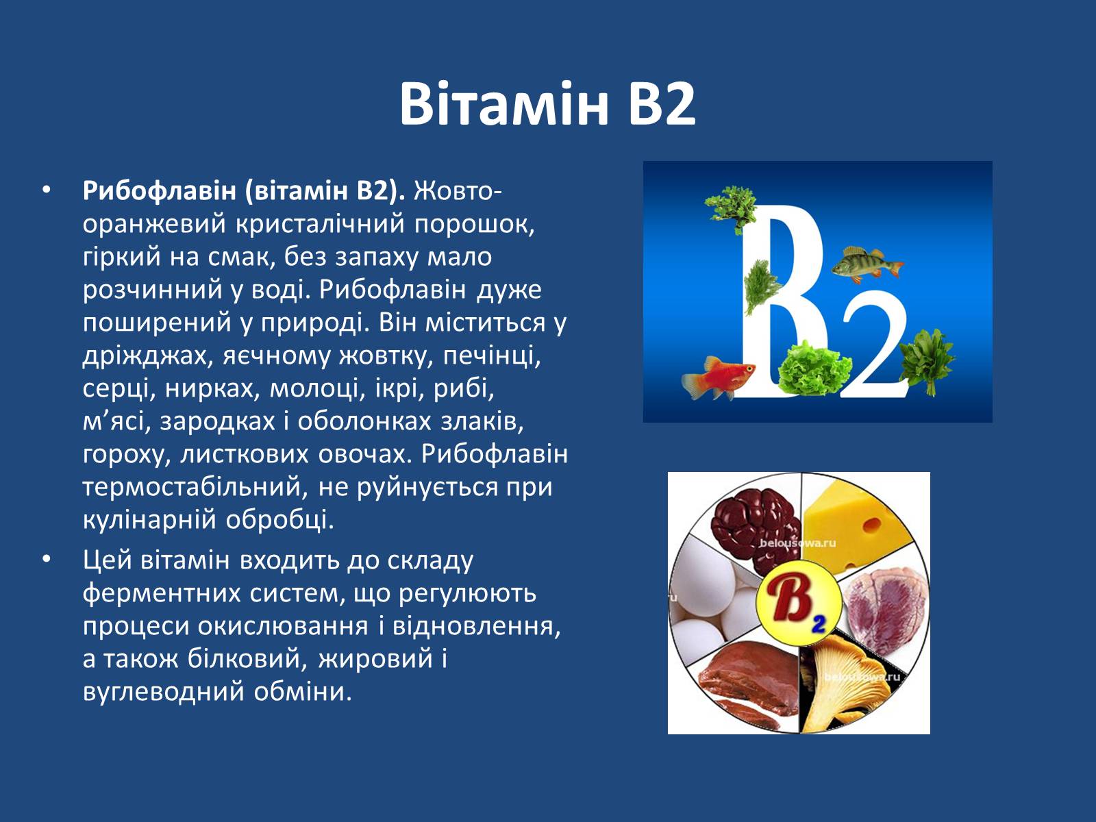Презентація на тему «Витаміни» (варіант 7) - Слайд #25 Презентація на тему «Витаміни» (варіант 7) - Слайд #25