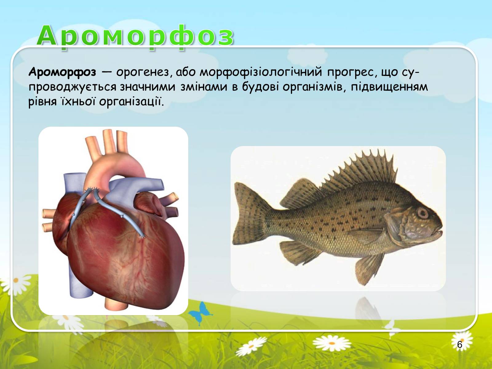 Презентація на тему «Макроеволюційний процес. Закони еволюційного процесу» - Слайд #6 Презентація на тему «Макроеволюційний процес. Закони еволюційного процесу» - Слайд #6