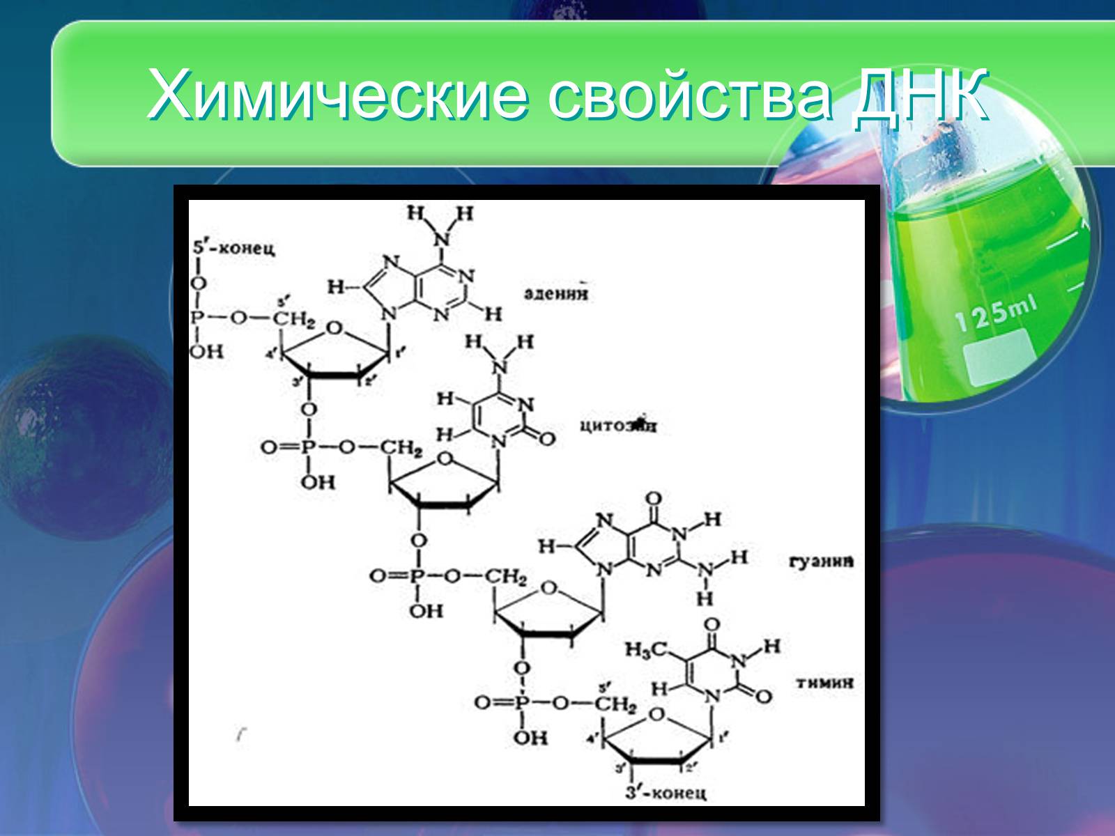 Презентація на тему «Нуклеїнові кислоти» (варіант 8) - Слайд #10 Презентація на тему «Нуклеїнові кислоти» (варіант 8) - Слайд #10