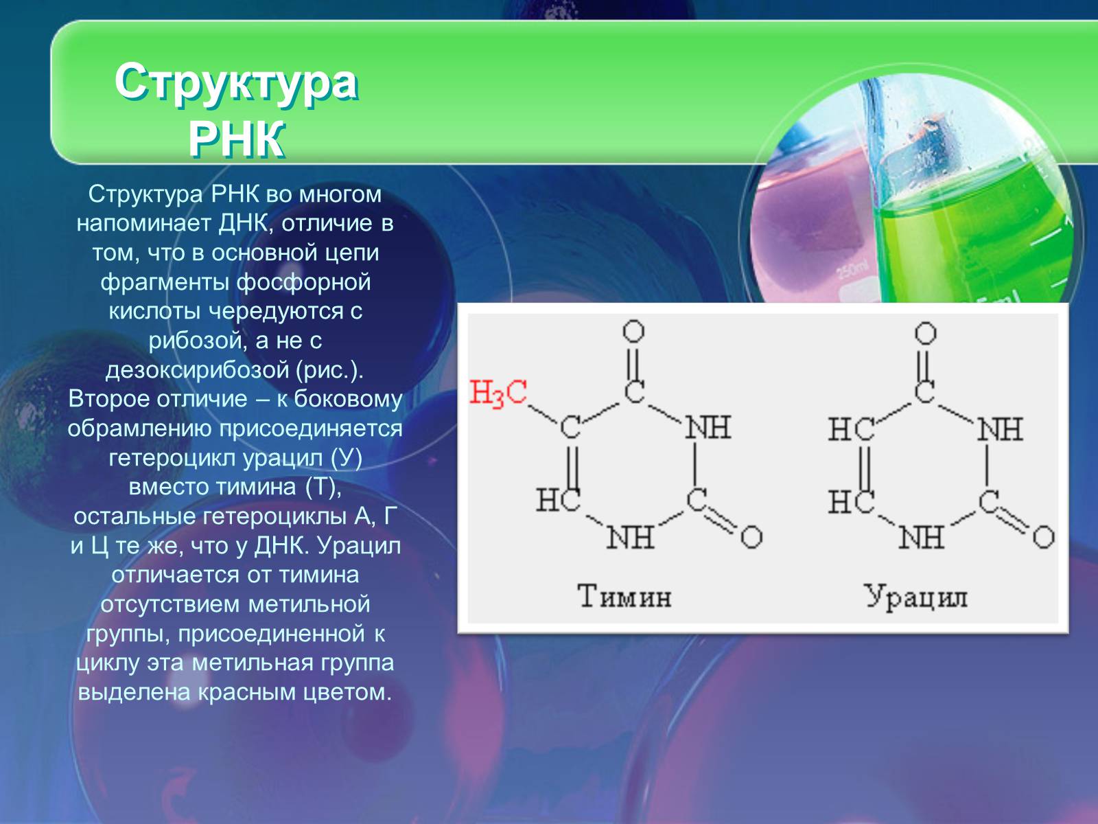 Презентація на тему «Нуклеїнові кислоти» (варіант 8) - Слайд #12 Презентація на тему «Нуклеїнові кислоти» (варіант 8) - Слайд #12