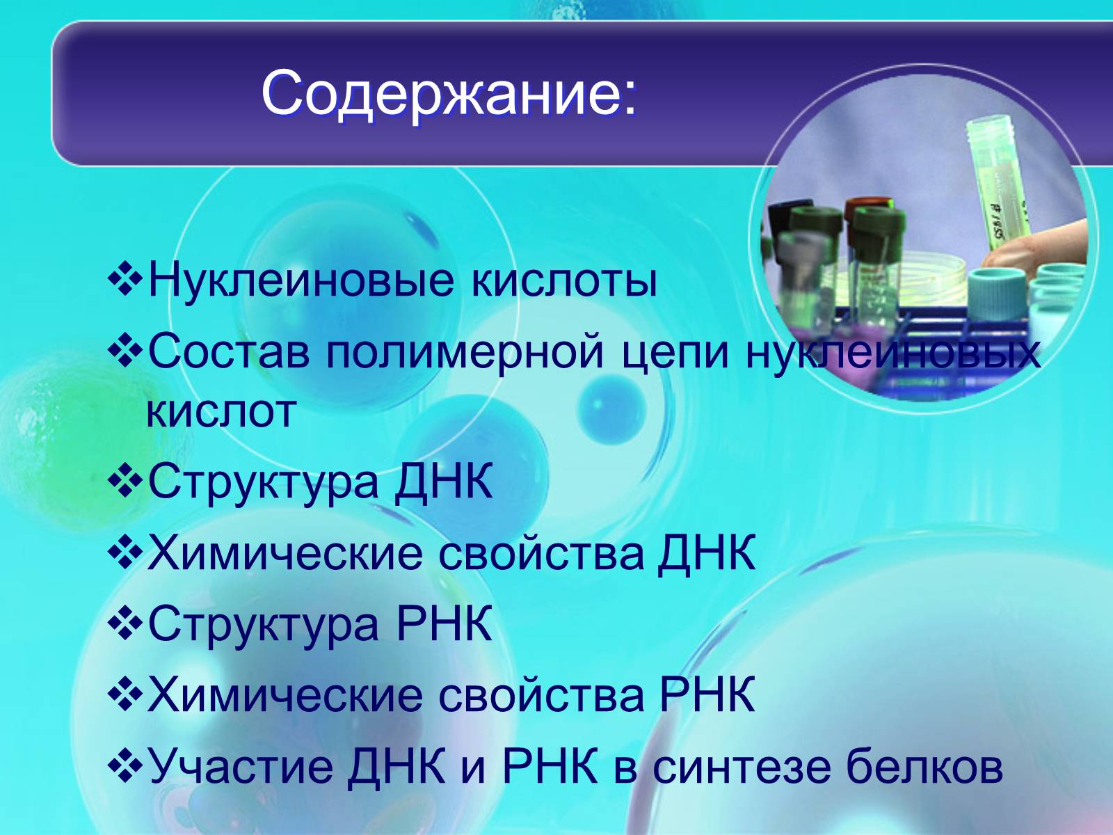 Презентація на тему «Нуклеїнові кислоти» (варіант 8) - Слайд #2 Презентація на тему «Нуклеїнові кислоти» (варіант 8) - Слайд #2