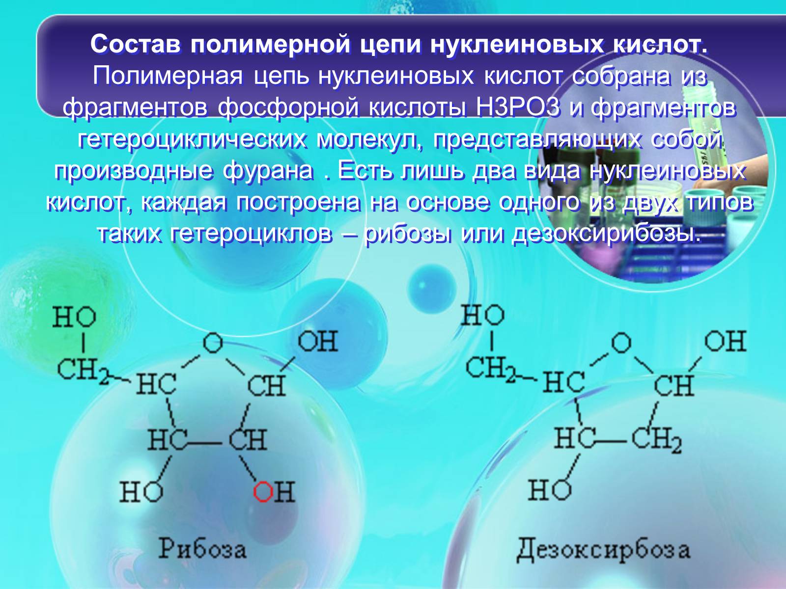 Презентація на тему «Нуклеїнові кислоти» (варіант 8) - Слайд #4 Презентація на тему «Нуклеїнові кислоти» (варіант 8) - Слайд #4