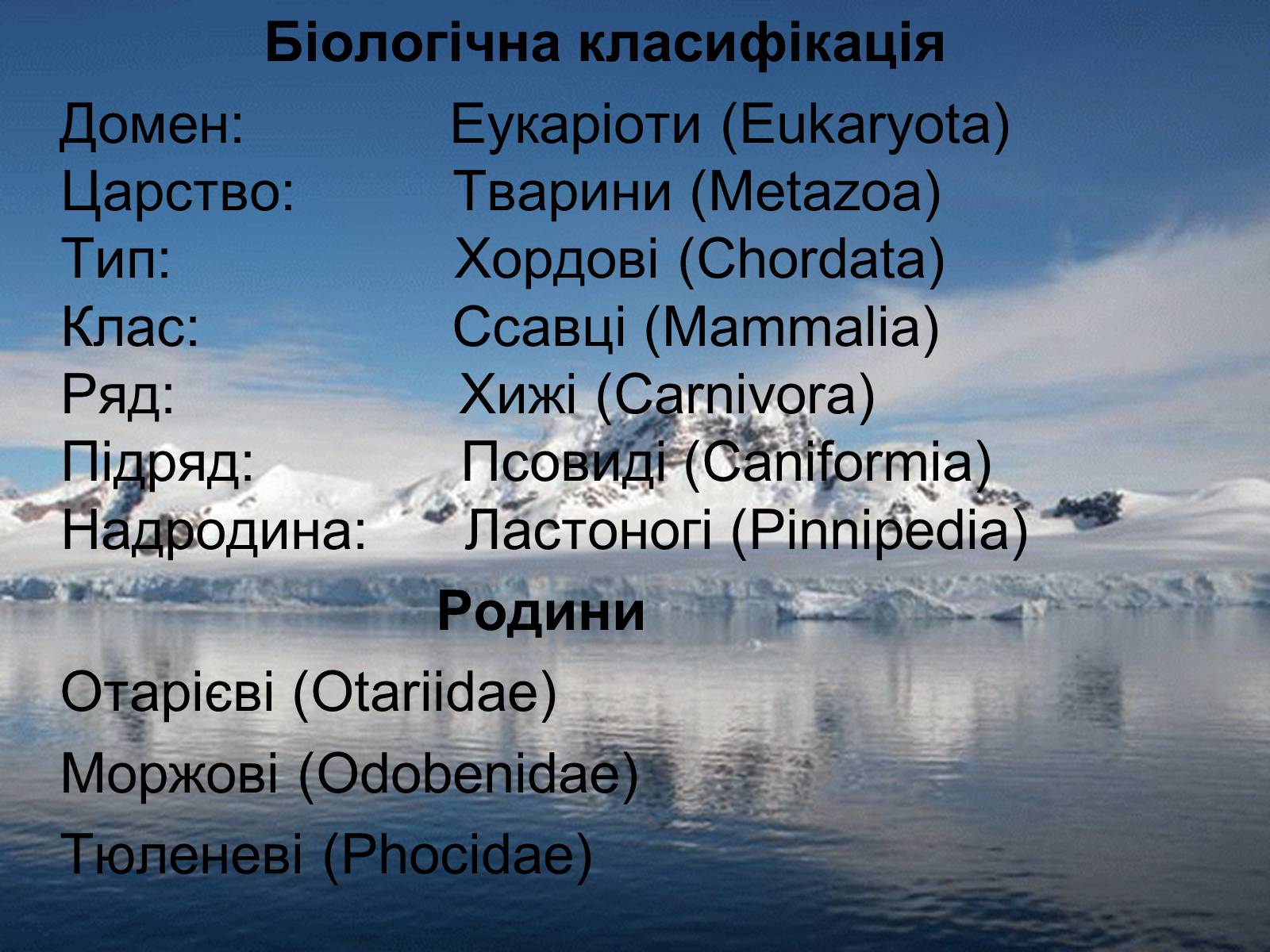 Презентація на тему «Ластоногі» - Слайд #2 Презентація на тему «Ластоногі» - Слайд #2