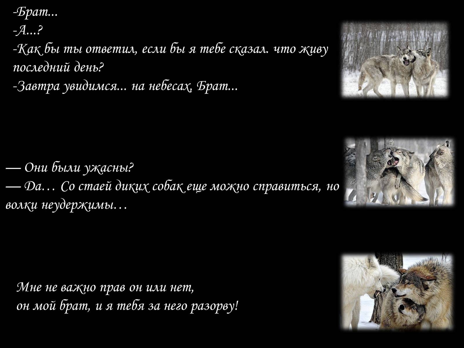 Презентація на тему «По волчьей тропе людскими шагами» - Слайд #2 Презентація на тему «По волчьей тропе людскими шагами» - Слайд #2
