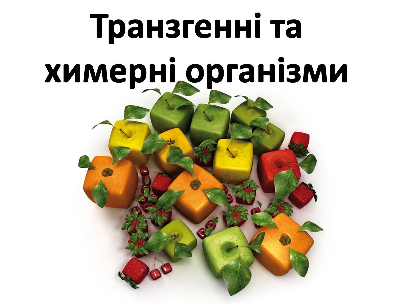 Презентація на тему «Транзгенні та химерні організми» - Слайд #1 Презентація на тему «Транзгенні та химерні організми» - Слайд #1